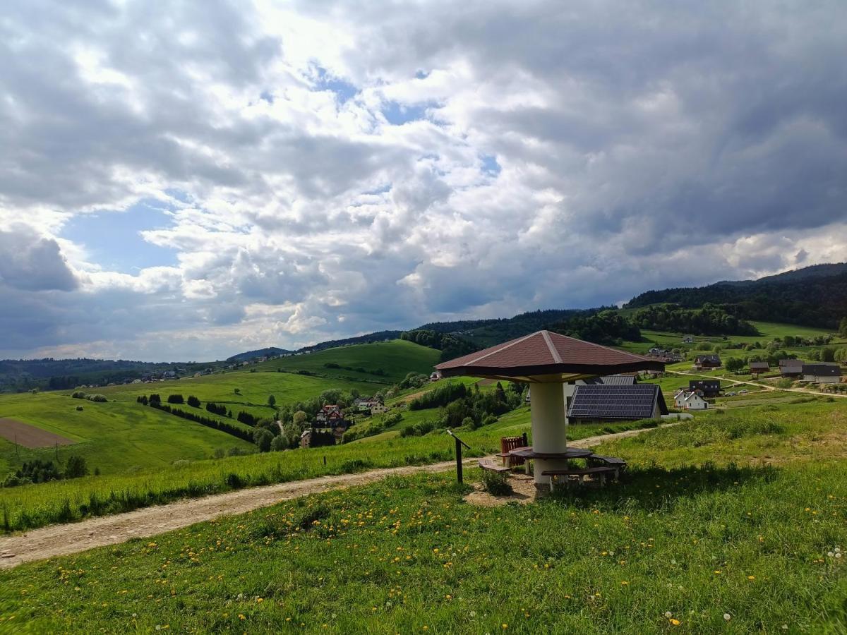 Domki Na Zapotocu Villa Grywald Kültér fotó