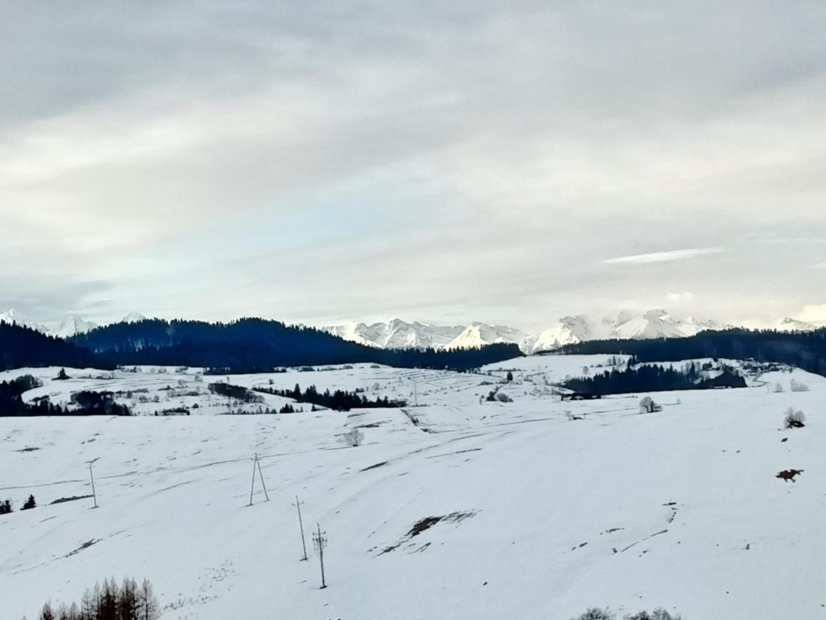 Domki Na Zapotocu Villa Grywald Kültér fotó